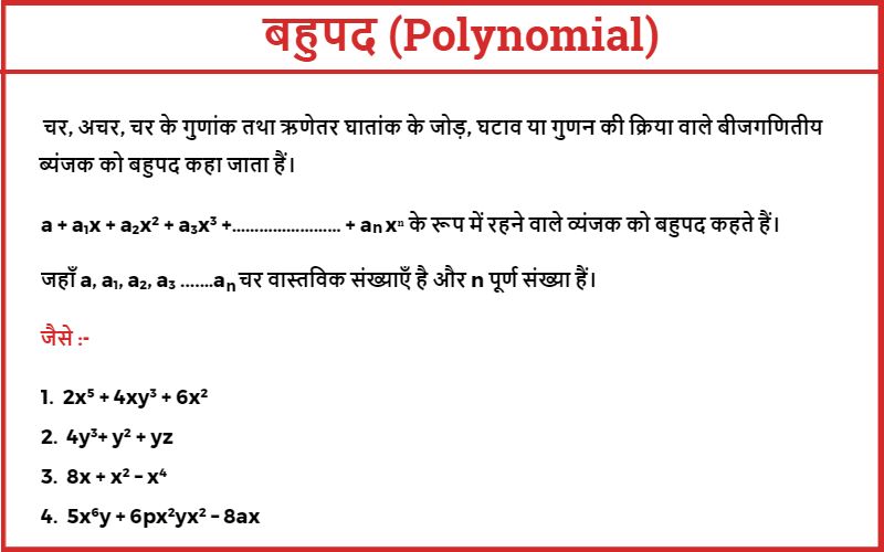 polynomial